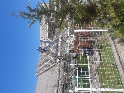 Tetőfedés és tetőfelújítás